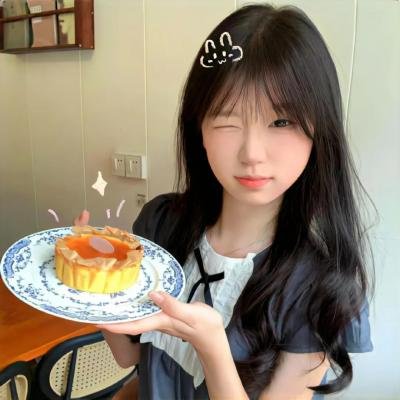 痞子猫 封面